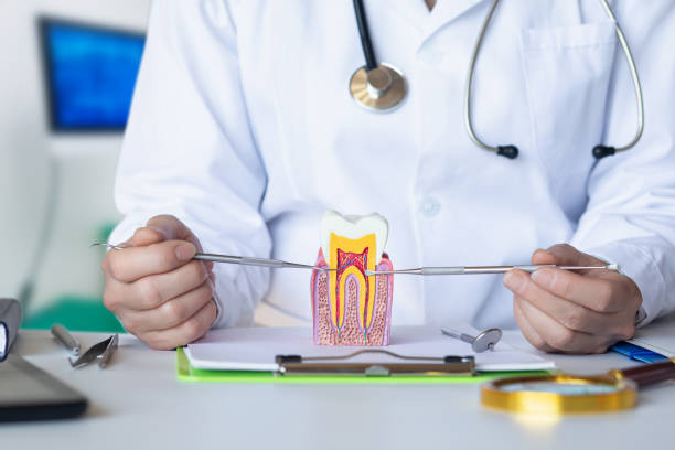 Best Emergency Care for Gum Disease in Bryson City, NC